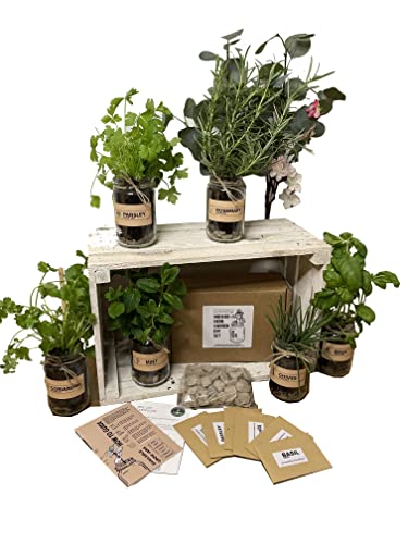 Set of 3: Indoor Herb Garden in Jars Rustic Grow Your Own Kit - H...