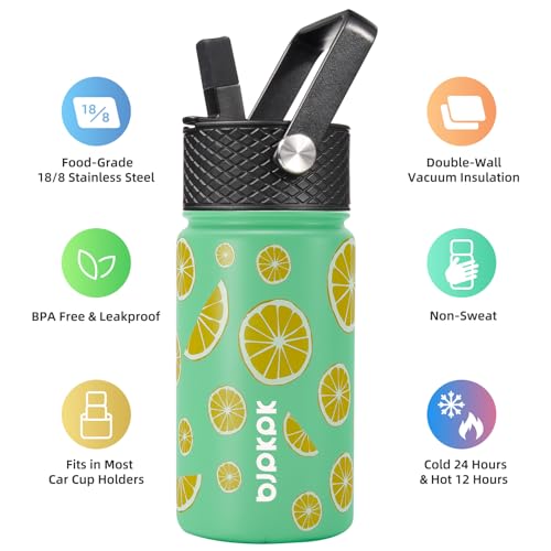 Image of BJPKPK Insulated Water Bottle, 15oz Stainless Steel with Straw Lid