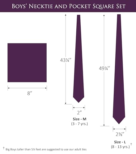 Image of Boy's Solid Tie with Pocket Square Set, Regular Necktie for Children and Kids, Self-Tied