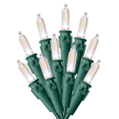 Sylvania 300 Lt LED Warm White Mini Christmas Lights. Green Wire. 37.25' Lighted Length per String