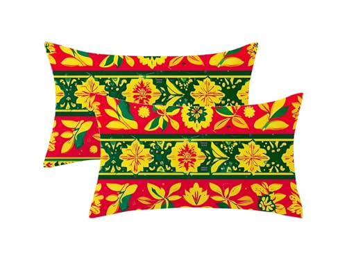 Juego de 2 Naranja quemado Fundas Cojines Exterior Impermeable,marroquí Funda Cojin 60x90 con Cremallera Invisible,Impermeable Terciopelo Cushion Covers para Exterior Jardín Decor Regalo,Model213