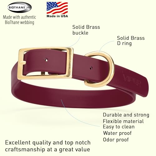 Image of Viper Biothane Heavy Duty Waterproof Dog Collar Strong Coated Nylon Webbing w /Solid Brass Hardware Odor-Proof Easy to Clean High Performance Fits Small Medium or Large Dogs, Merlot Burgundy