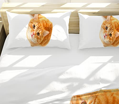 3D Bettwäsche Graue Katzen Bettbezug-Set ,Cartoon Lustige Fette Katze Bettdecke Abdeckung, for Kinder Erwachsene Nette Haustiere Bettbezug 3D Animal Room Decor Mit 2 Kissenbezug(cat-1,220*240cm) - Image 4