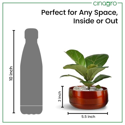 Image of CINAGRO Metal Planter Pot for Indoor Plants, Round Decorative Flower Pot, Rust-Resistant, Modern Plant Holder for Home, Balcony, Office (13.97 x 7.62 cm, Pulse Nest - Trio)
