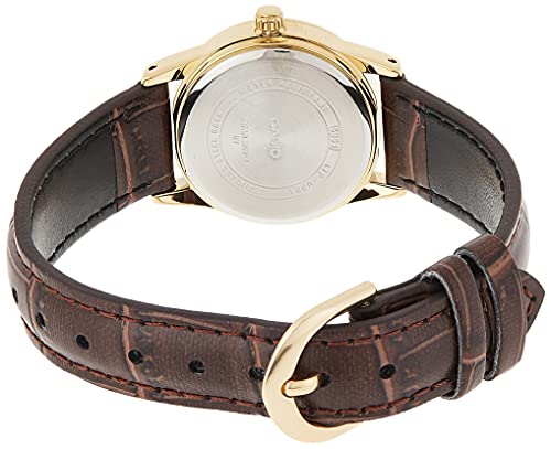 Casio Relógio de pulso feminino LTP-V001GL-9BUDF, Marrom, Movimento de quartzo