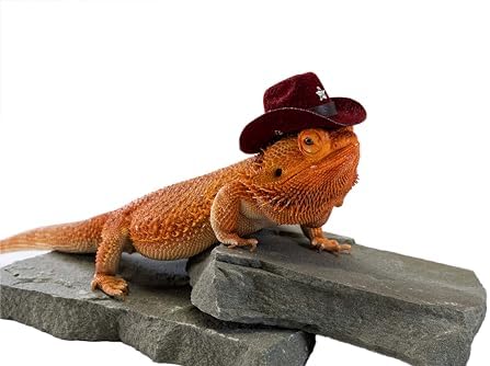 Carolina Designer Dragons' Bearded Dragon Cowboy Hat, Dark Red image 5