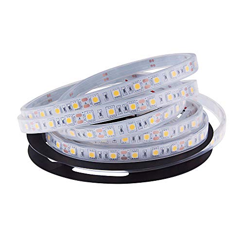 LED Strips Lichten Blauw Wit Warm Wit Multicolor RGB IP68 in Het Water Fish Tank Verlichting 5M Zwembad Licht Strip DC12V (Warm Wit, 5M DC12V IP68 Waterdicht)