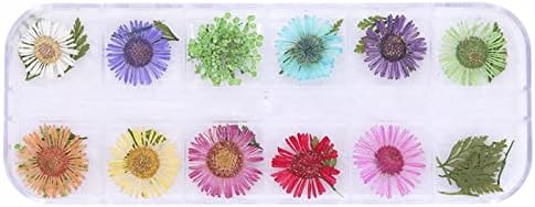 VEFSU Spring and Summer 2022 Fashion 12 Box Nail Dry Flower Jewelry 6 Japanese Women's Fashion Nail Enhancement Flowers Wax Pencil (A, One Size)