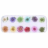 VEFSU Spring and Summer 2022 Fashion 12 Box Nail Dry Flower Jewelry 6 Japanese Women's Fashion Nail