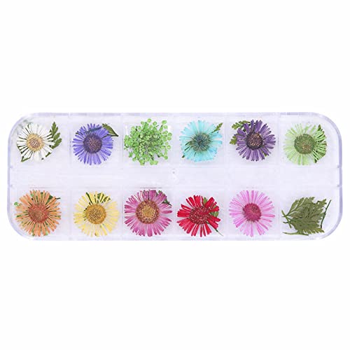 Vefsu Spring And Summer 2022 Fashion 12 Box Nail Dry Flower Jewelry 6 Japanese Women's Fashion Nail Enhancement Flowers Wax Pencil (A, One Size) #TOP5