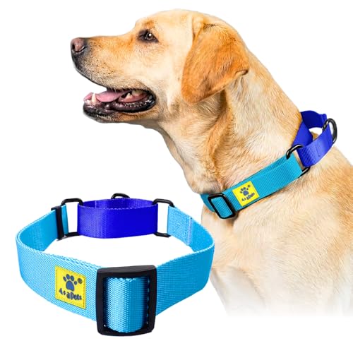 Image of A+a Pets Martingale Dog Collar | No Pull Design,No Neck Strain,No Choke Design | for Large & Medium Dogs | Rust Free,Waterproof Nylon Training Collar (Light Blue & Blue),30 x 2.5 cm
