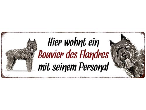 Interluxe Metallschild - Hier wohnt EIN Bouvier des Flandres - dekoratives Schild, Türschild, Blechschild als Geschenk für Menschen mit Hund