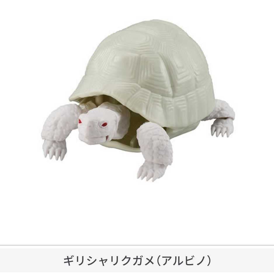 Amazon.co.jp: いきもの大図鑑 かめ01 第1弾 全4種類 インドホシガメ