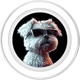 Zoom IMG-1 maltese con occhiali da sole Zoom IMG-1 maltese con occhiali da sole