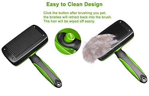 https://m.media-amazon.com/images/I/41VNvcIOSsL._SL500_.jpg