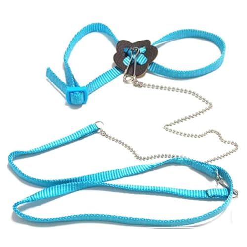 pet best bearded dragon leash
