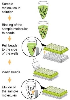 EpiMag HT (96-Well) Magnetic Separator
