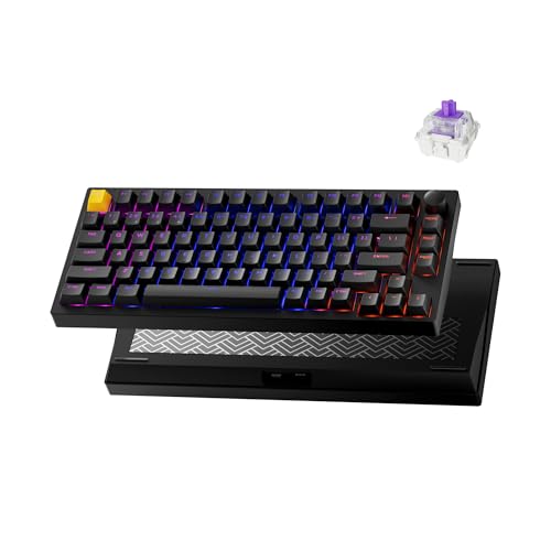 P1 HE 75% Wireless Custom Mechanical Gaming Keyboard with Gateron...