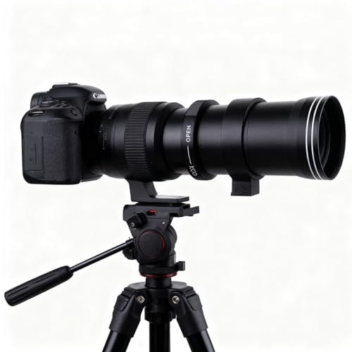 Andoer 420-800mm f/ 8.3 Manual Telephoto Zoom Lens for Canon EOS Rebel SL2 SL1 T3 T3i T4i T5 T5i T6 T6i T6s T7 T7i 4000D 6D 7D 60D 70D 77D 80D 5D II/III/IV 550D 650D