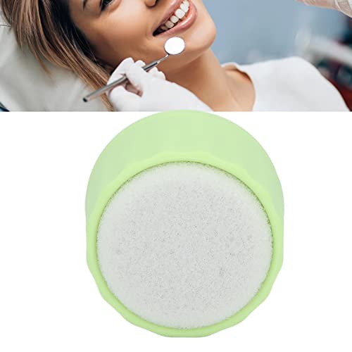 Endo File Clean Stand Dental Endo File Clean Stand Holder Recarga de Esponja para Limpeza de Arquivo