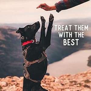 Beg & Barker Beef Chips for Canine (8 Ounce, Pack of 1) – Single Ingredient Canine Treats Made for Massive & Small Canine Protein Human Grade Canine Treats Constituted of Actual Meat Beef, Made in USA