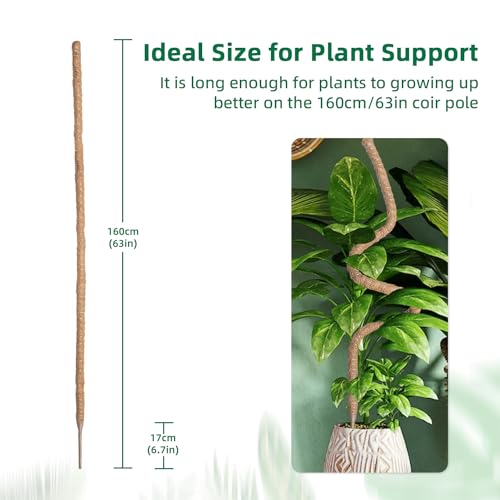 Mcbazel 160cm Monstera Rankhilfe Kokosfaser Moosstab biegbar Zimmerpflanzen – Ansicht 5