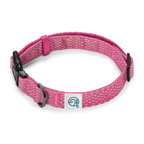 15+ Great Dog Collars For Golden Retrievers Retriever Advice