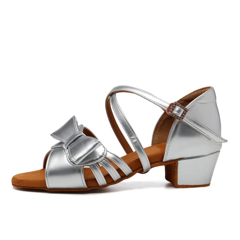 TINRYMX Girls&Women Latin Dance Shoes Ballroom Salsa Tango Professional Performance Practice Dance Shoes, EM-L1026-Silver-3,US 1