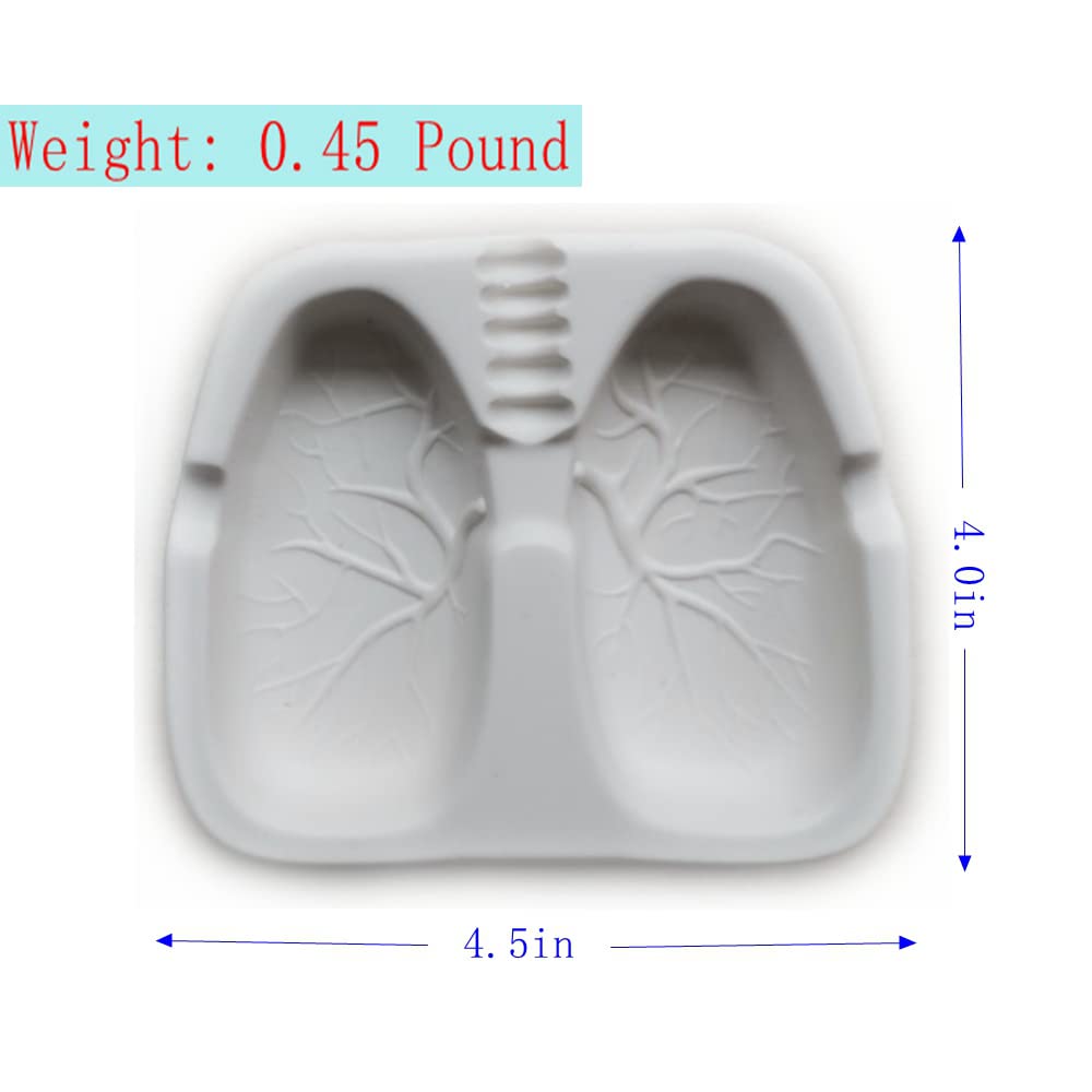 Amazon.co.jp: 肺型灰皿 禁煙灰皿 クリエイティブファッション灰皿