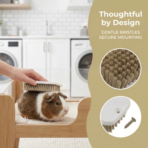 Cepillo de plástico blanco ULTECHNOVO con tornillo para limpieza de hábitats de cobayas 3
