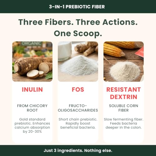 Image of Gutbasket Fiber Boost - 3-Prebiotic Fibre Supplement (Inulin, FOS, Resistant Dextrin) | Grows Good Gut Bacteria | Relieves Constipation | Improves Calcium Absorption | Tasteless, Dissolves Easily | Vegan, Gluten-Free (250g)