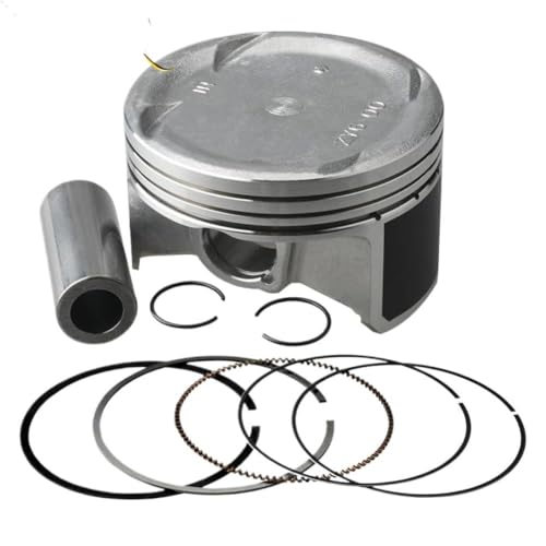 Piston Set Plus 0.25mm Compatible With Marine Outboard BF115 BF150 ZY6 13101-ZY6-000 13101ZY6000 4 Kit