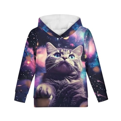 Image of GLUDEAR Teen Boys Girls Novelty Animal Galaxy Hoodies Sweatshirts Pullover