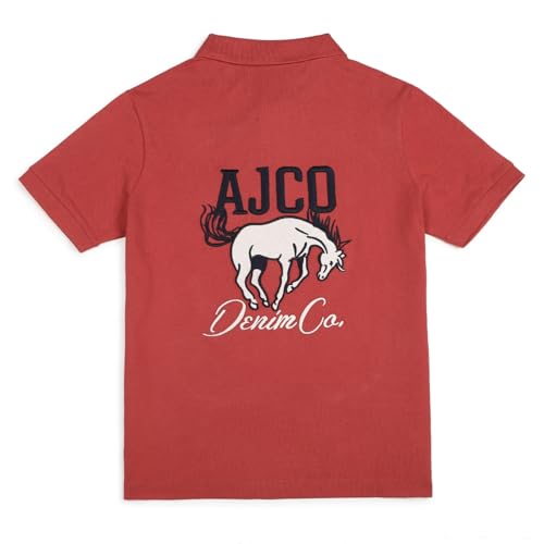 Image of Alan Jones Clothing Boy's Cotton Regular Fit Colorblock Regular Polo T-Shirt