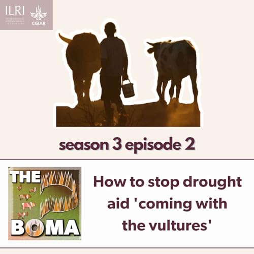 『How to stop drought aid 'coming with the vultures'』のカバーアート