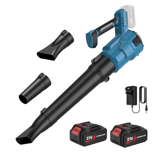 Souffleur de Feuilles sans Fil avec Affichage LED,...