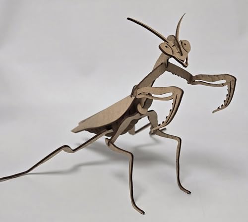 3-D Wood Insect Model Kit: Praying Mantis
