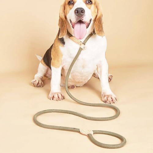 CVDYWDJIE 1 Stück 150 cm Langes Hundetrainingsseil, Hundeleine, Langlebige Leine, Verstellbare Leine, Heimtierbedarf