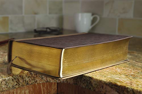 Nrsv, Cultural Backgrounds Study Bible, Leathersoft, Tan/Brown, Comfort Print: Bringing To Life The Ancient World Of Scripture #TOP5