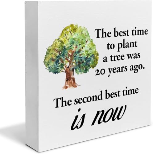 Funny Sign the Best Time to Plant a Tree Was 20 Years Desk Decorative Wooden Sign Home Decor for...