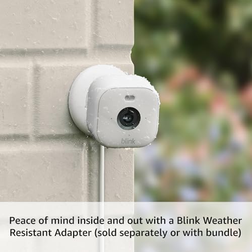 Mini 2 — Home Security & Pet Camera