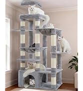 大型キャットタワー 180cm ライトグレー Amazon | Heyblyキャットタワー 多頭飼い最適 高180cm 大型猫用