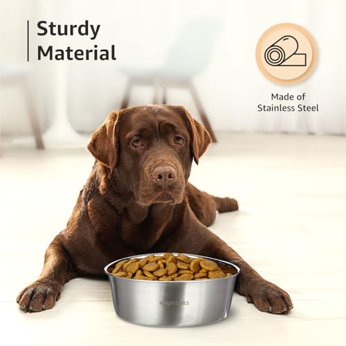 Image of Amazon Basics Heavy Dog Bowl | Large Size | Stainless Steel | Feeding Bowls for Dog, Cats and Pet | Pack of 2 x 1600 ml