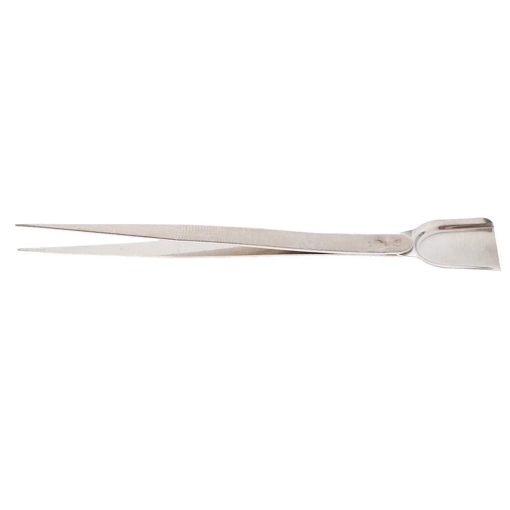 Pinzette Per La Raccolta Di Diamanti In Acciaio Inossidabile Per Perline Di Pietra Per Gioielli Artiglio Corto N 4 Per 95006584