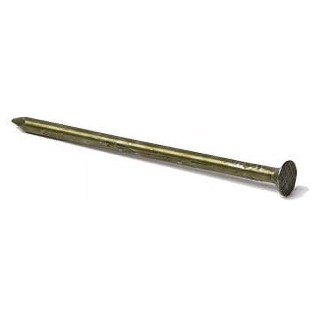 20D 3.75 in. Sinker Vinyl Steel Nail Flat, 50 lbs