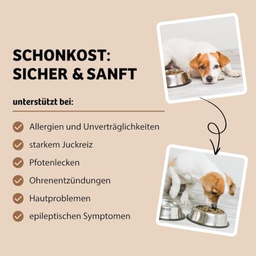 BugBell 60g Weiche Hundeleckerli HighSensitive mit Insekten - Nur 4 Zutaten