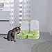 MotiveTech Pet Food Dispenser for Cats and Dogs, Automatic Feeding Station with Bowls, Green