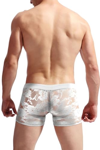 Men Breathable Underwear Lace Sexy Boxer Briefs Mesh Transparent Pants Male Soft Bikini See Through Lace Underpants4