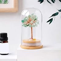 Amazon.co.jp: JAnjiaLxY クリスタル 招財樹 金のなる木 水晶