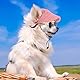 Jadive Hunde Sonnenhut mit Ohrlöchern Katze Hunde Sonnenbrille mit Rutschfestem Silikonband Verstellbarer Haustier Baseballmütze Sommer Sonnenschutz Hut für Welpen Foto-Requisiten(Rosa,Klein)